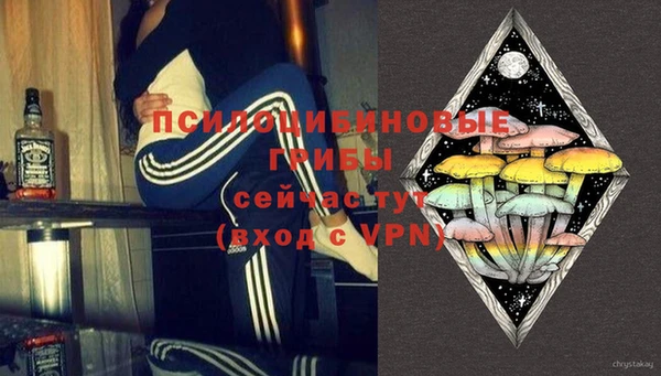 героин Няндома