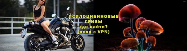 PSILOCYBIN Нягань