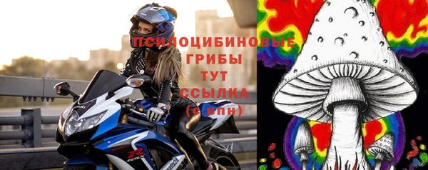 тгк Нязепетровск