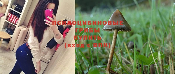 тгк Нязепетровск